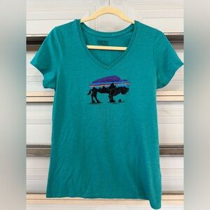 Patagonia Teal Regular Fit T-Shirt